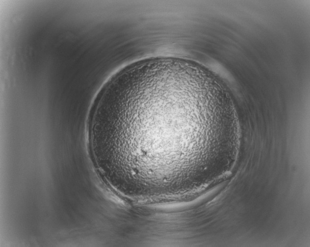 X0000068841280200605081230