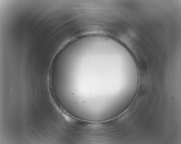 X0000068841282200605081230