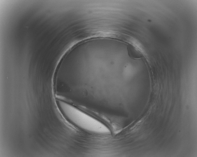 X0000068841283200605081230