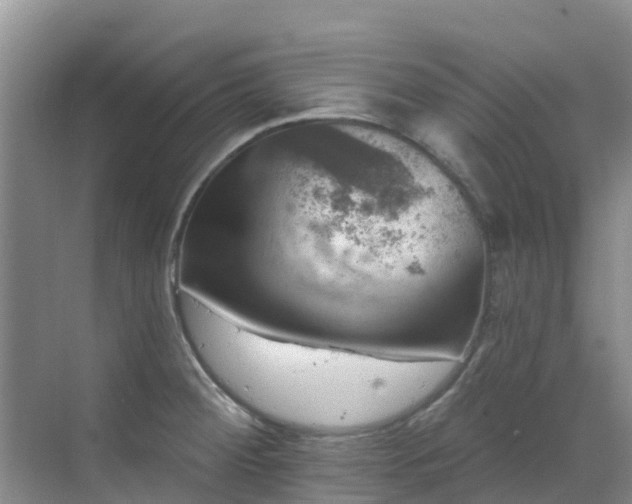 X0000068841284200605081230