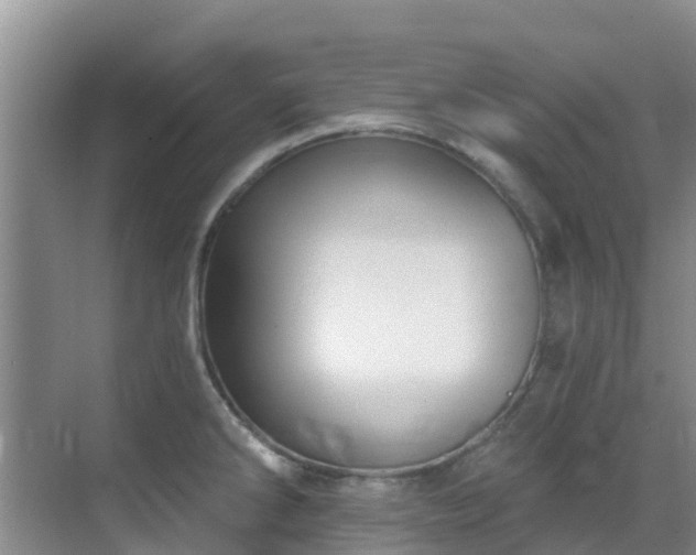 X0000068841286200605081230