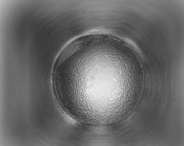 X0000068841288200605081229