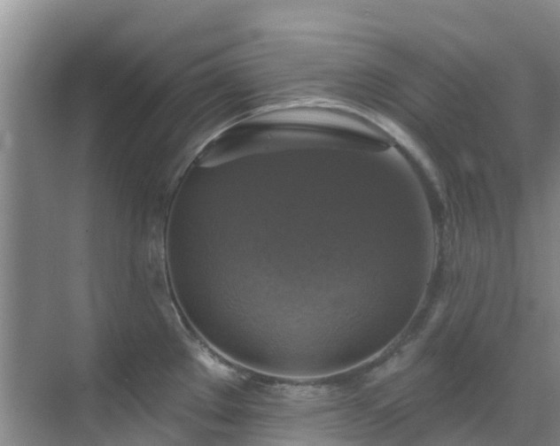 X0000068841289200605081229