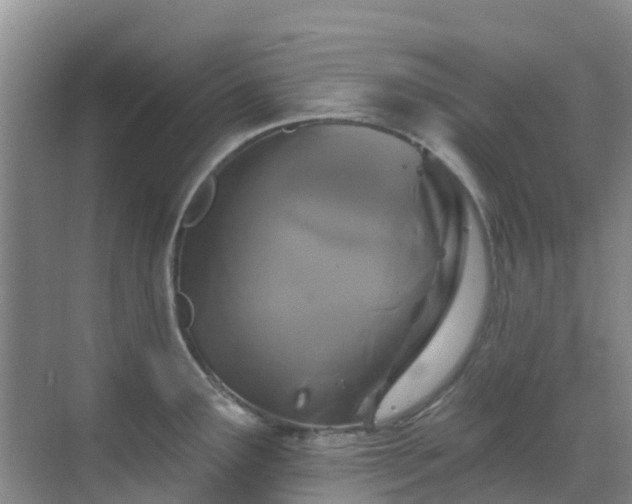 X0000068841291200605081229