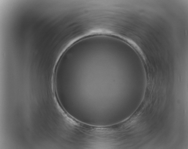 X0000068841295200605081229