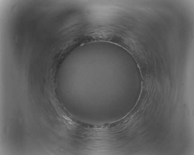 X0000068841297200605081229