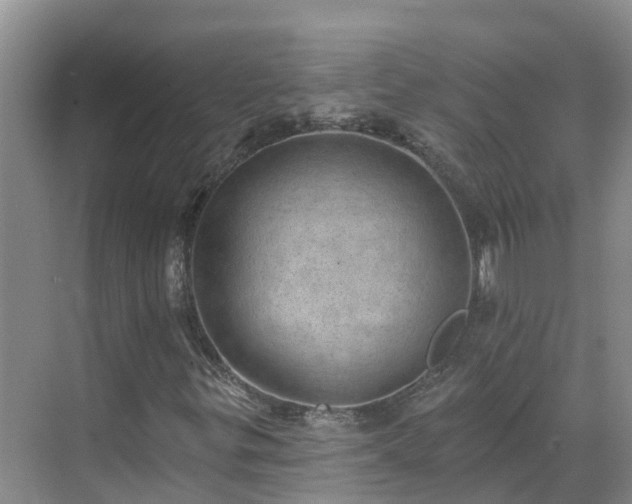 X0000068841299200605081229