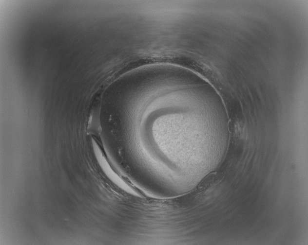 X0000068841300200605081229