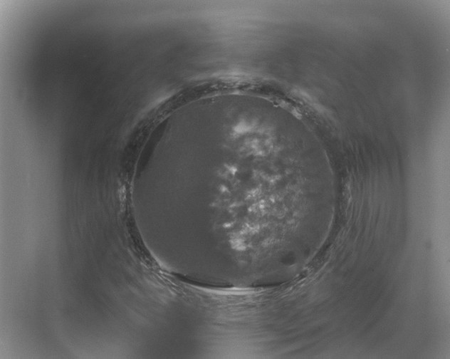 X0000068841302200605081229