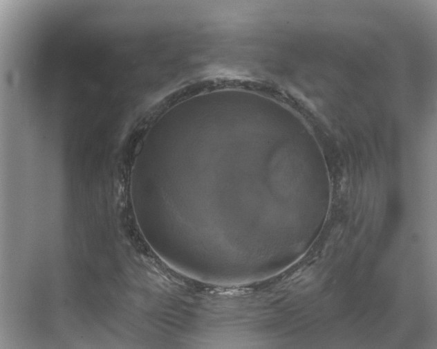 X0000068841303200605081229