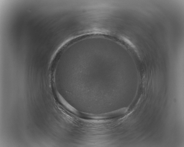 X0000068841310200605081229