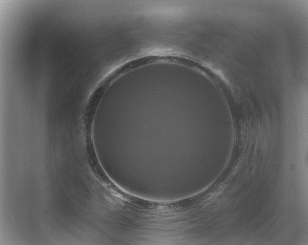 X0000068841311200605081229