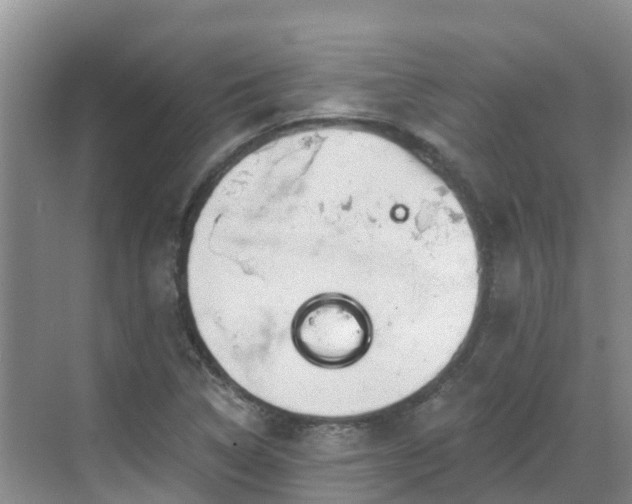 X0000068841314200605081229