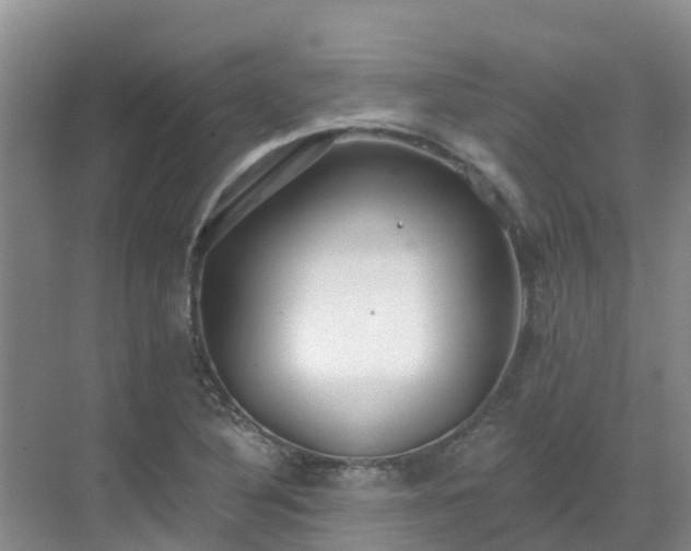 X0000068841316200605081229