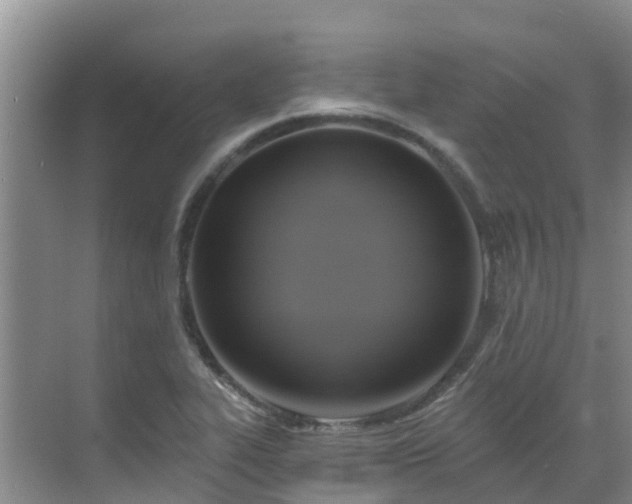 X0000068841319200605081229