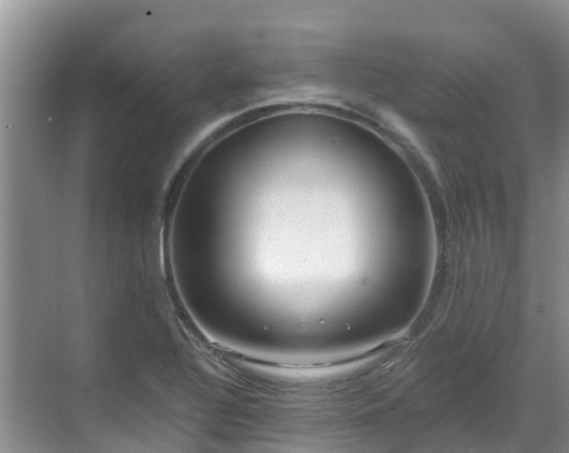 X0000068841320200605081229