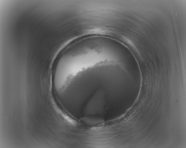 X0000068841323200605081229