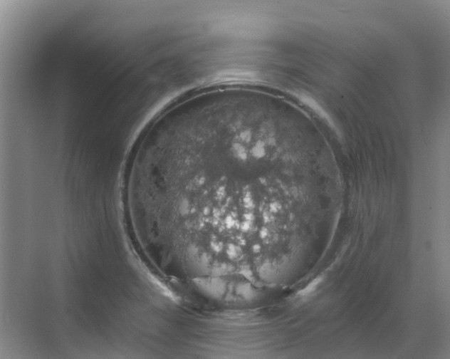 X0000068841325200605081229