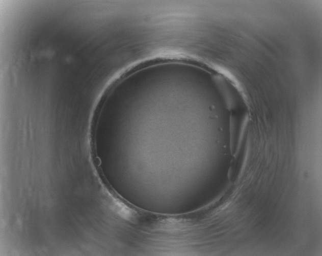 X0000068841327200605081229