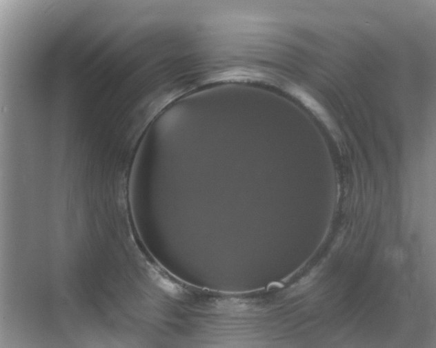 X0000068841329200605081229