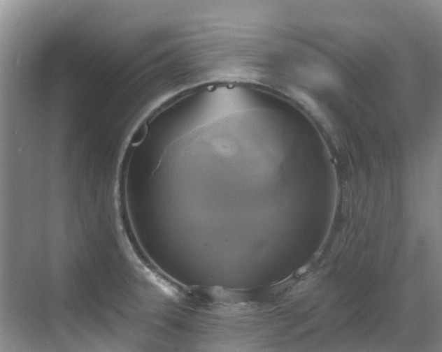 X0000068841331200605081229