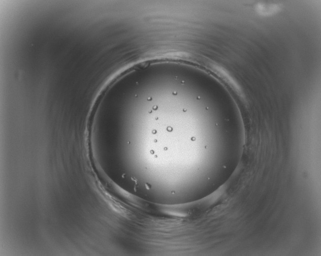 X0000068841332200605081229