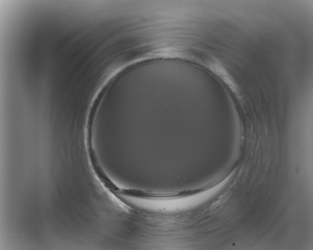 X0000068841334200605081229