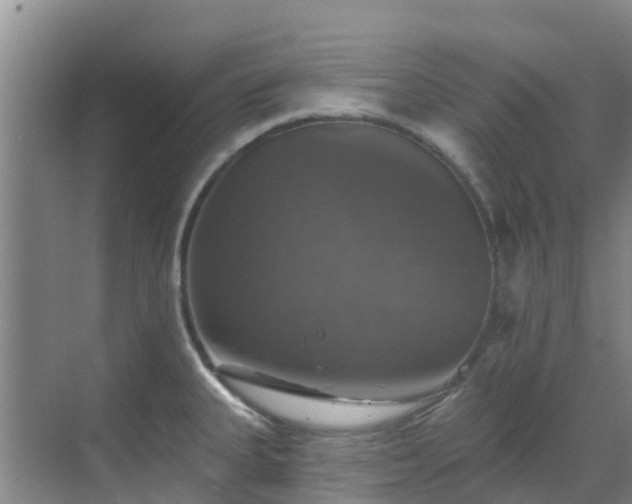 X0000068841335200605081229