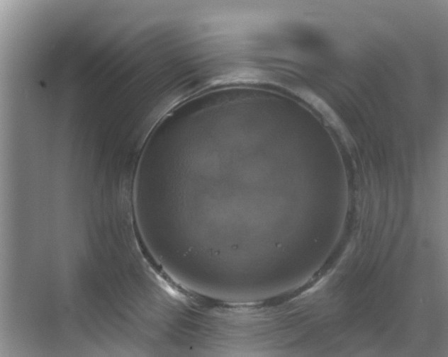 X0000068841337200605081229