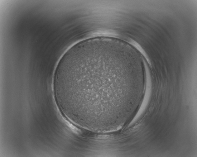 X0000068841339200605081229