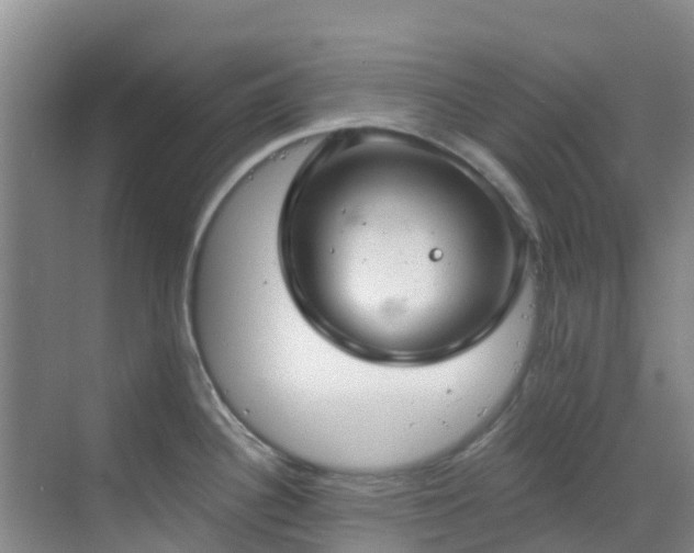 X0000068841340200605081229