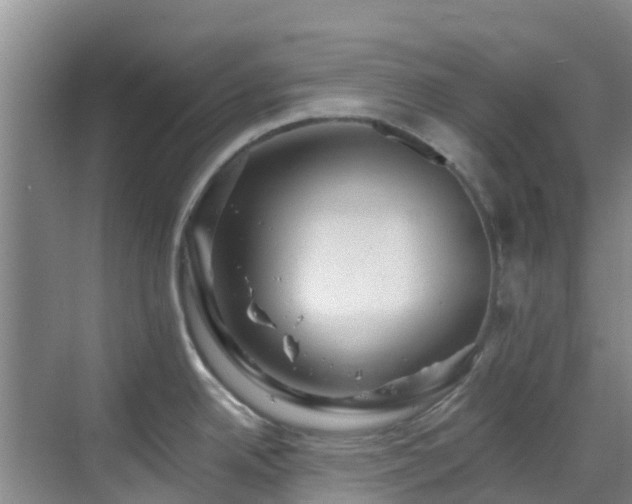 X0000068841342200605081229