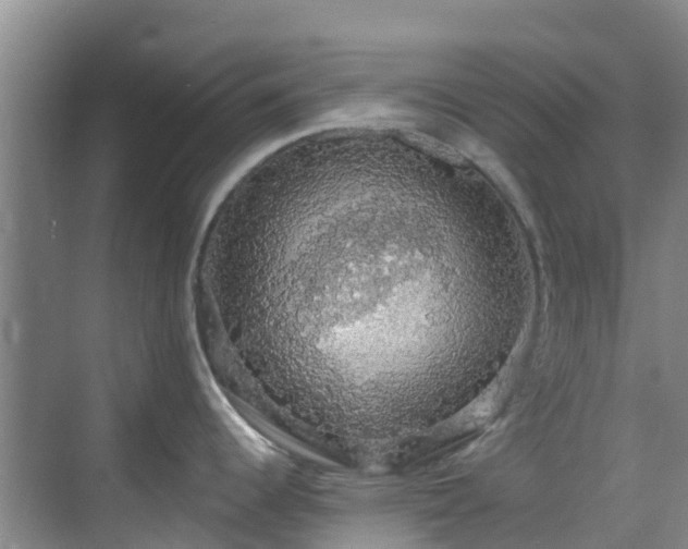 X0000068841344200605081229