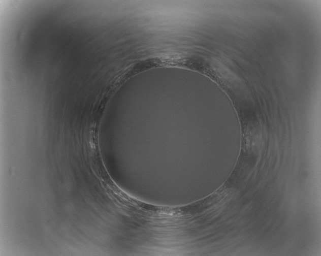 X0000068841346200605081229