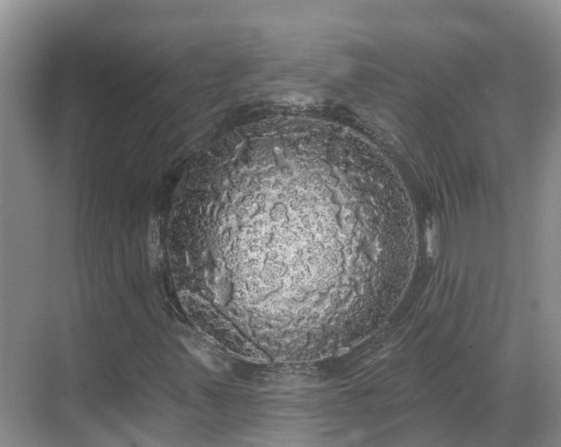 X0000068841347200605081228