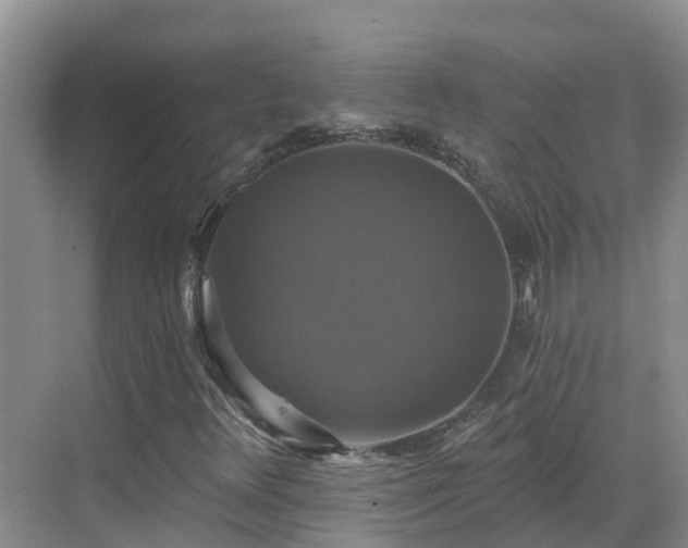 X0000068841348200605081228