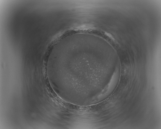 X0000068841350200605081228