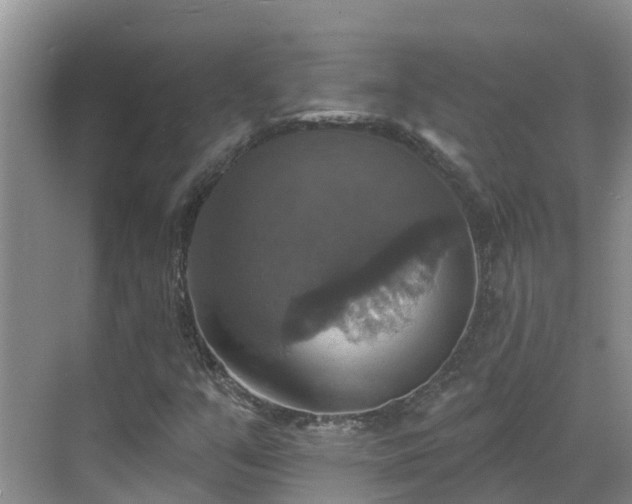 X0000068841351200605081228