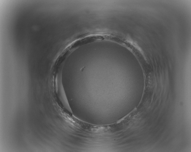 X0000068841352200605081228