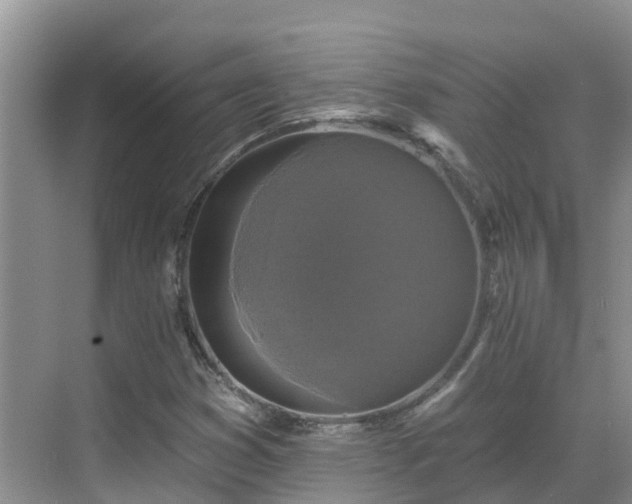 X0000068841353200605081228