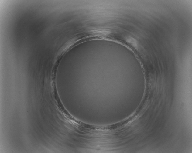 X0000068841354200605081228