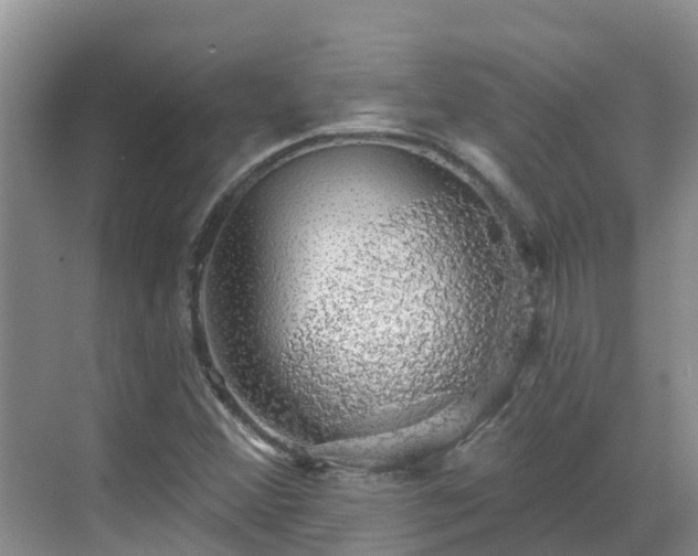 X0000068841356200605081228