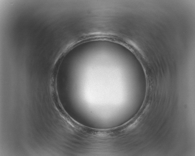 X0000068841357200605081228