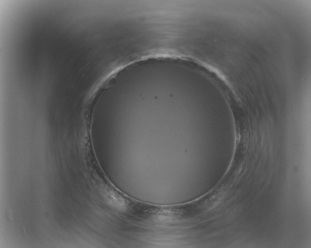 X0000068841359200605081228