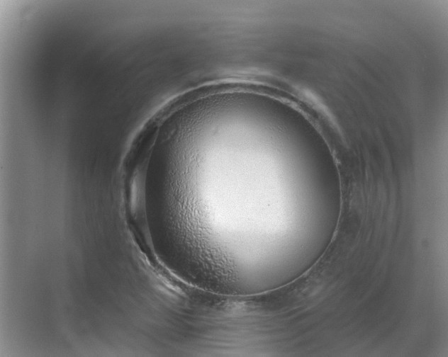 X0000068841360200605081228