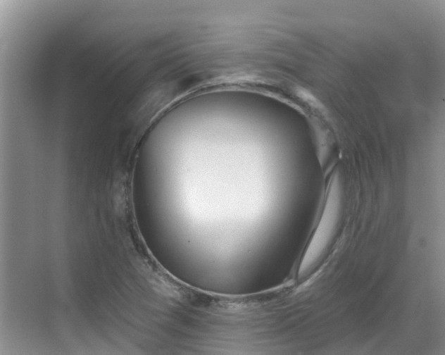 X0000068841361200605081228