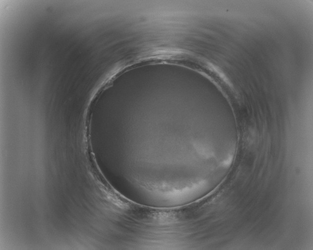 X0000068841362200605081228