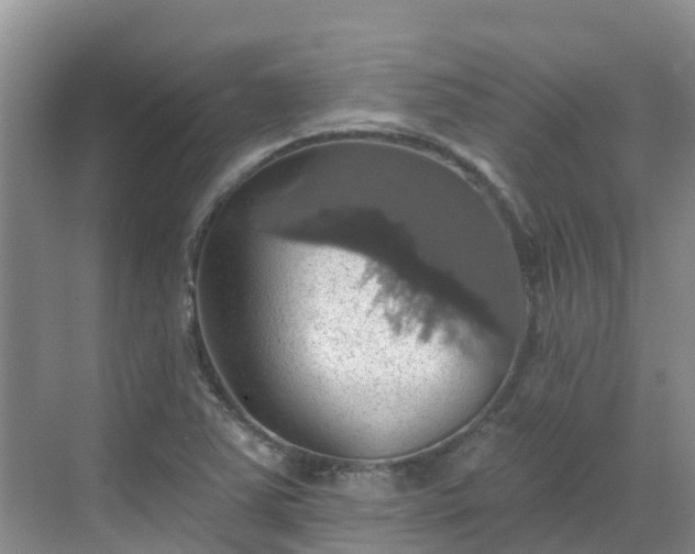 X0000068841363200605081228