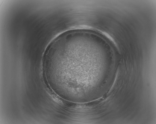 X0000068841364200605081228