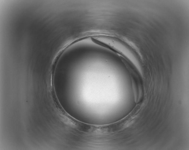 X0000068841365200605081228